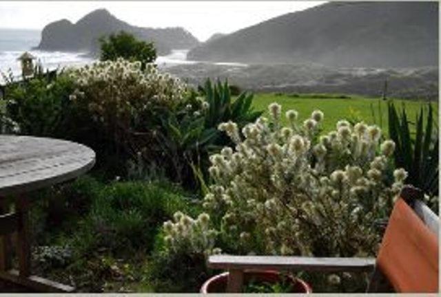 Bethells Beach Cottages מראה חיצוני תמונה